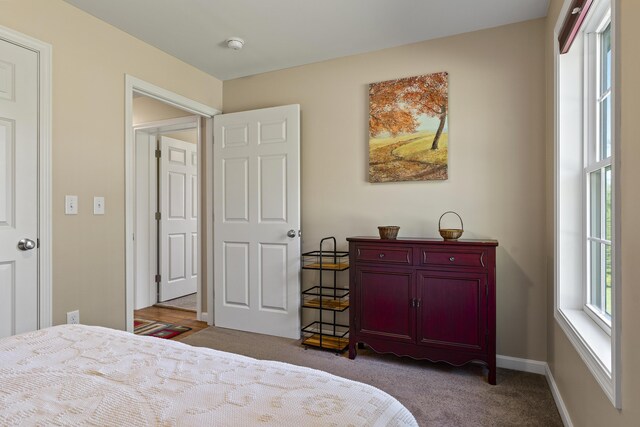 view of carpeted bedroom