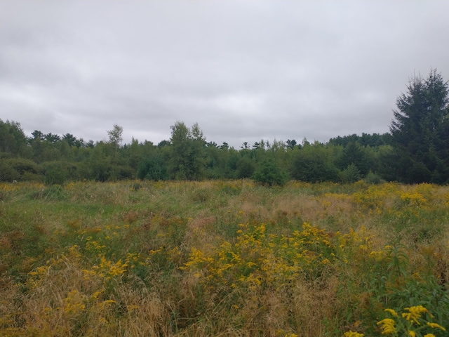 view of landscape with a forest view