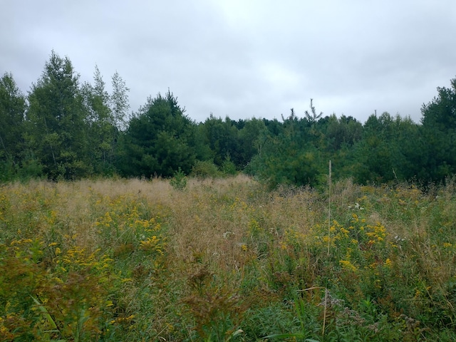 view of landscape with a forest view