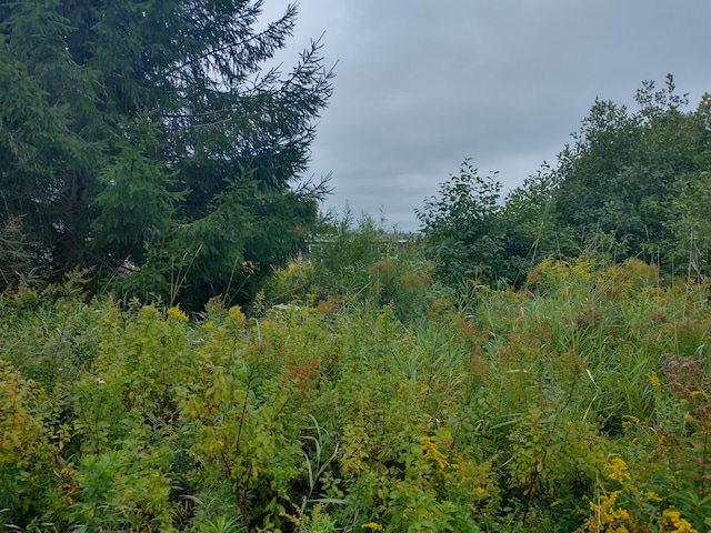 view of landscape with a view of trees