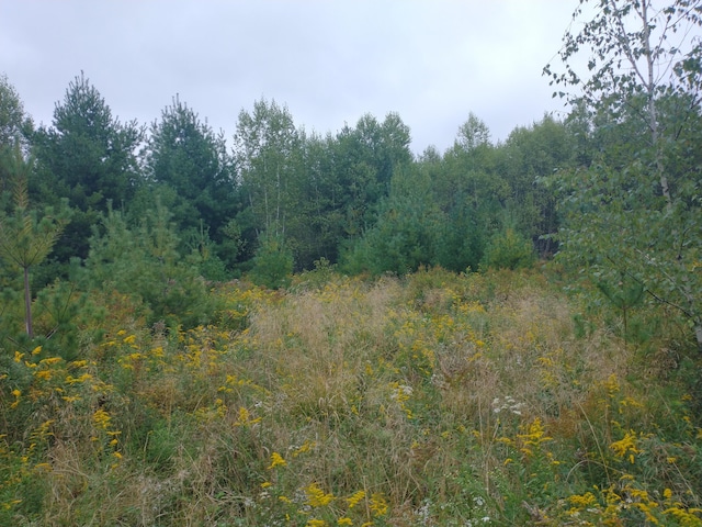 view of nature with a wooded view