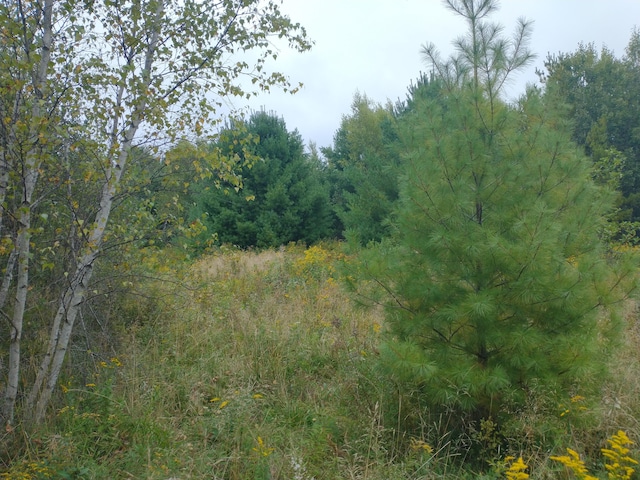 view of nature with a view of trees