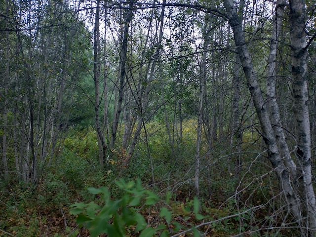 view of local wilderness with a forest view