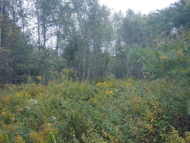 view of nature featuring a wooded view