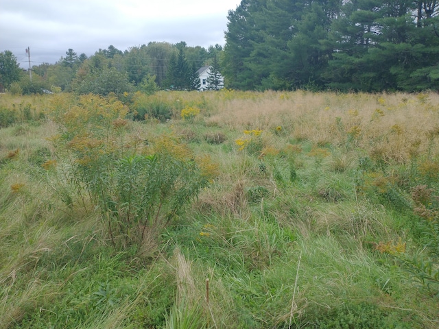 view of local wilderness with a wooded view