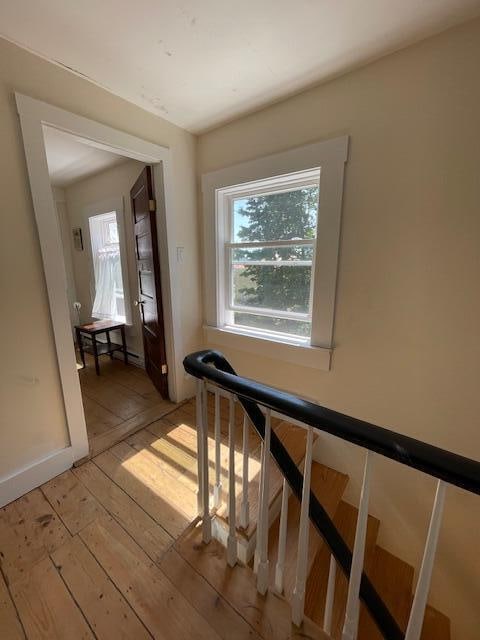 hall featuring light hardwood / wood-style flooring and a wealth of natural light