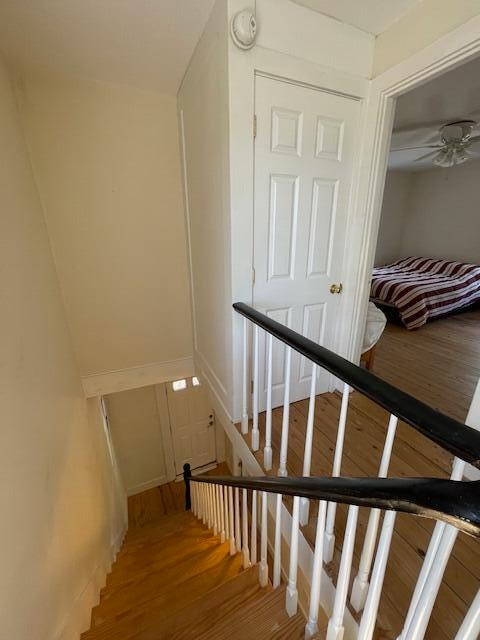 stairway with hardwood / wood-style flooring and ceiling fan