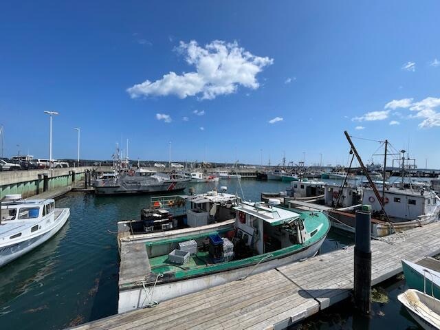 dock area featuring a water view