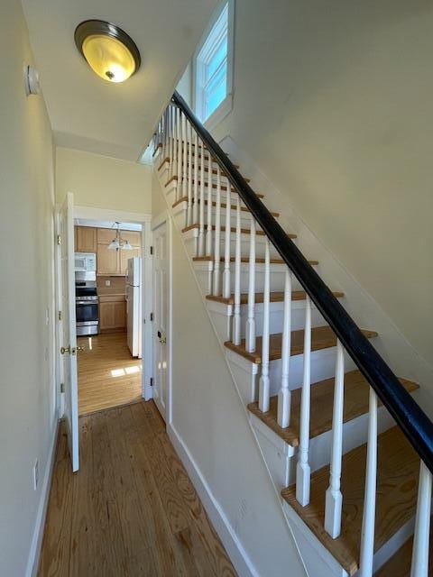 stairs with hardwood / wood-style flooring