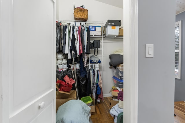 walk in closet with wood-type flooring