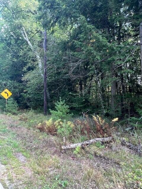 0-2 Trues Pond Rd, Montville, ME 04941