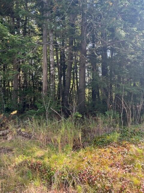 0-2 Trues Pond Rd, Montville, ME 04941