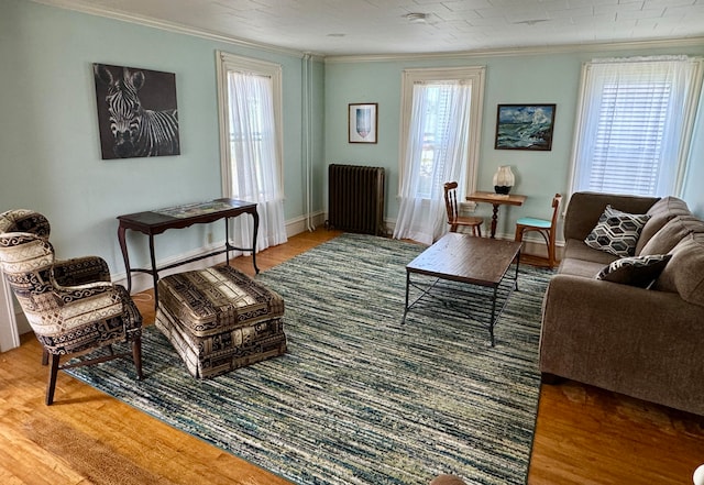 living room featuring radiator heating unit, ornamental molding, a healthy amount of sunlight, and wood-type flooring