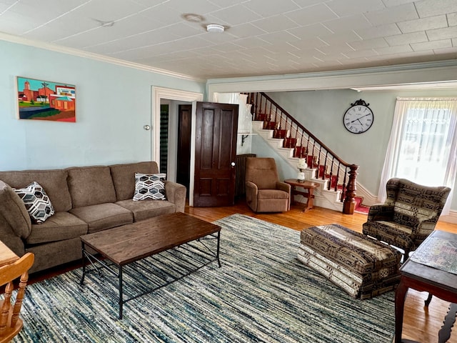 living room with wood-type flooring and crown molding