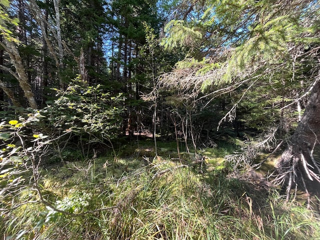 Listing photo 3 for LOT47 Old Wagon Rd, Roque Bluffs ME 04654