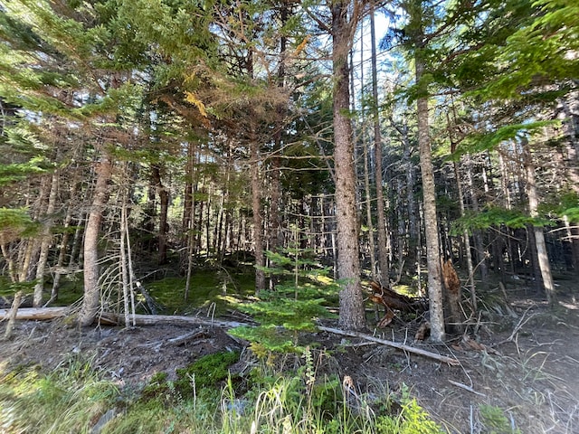 Listing photo 2 for LOT47 Old Wagon Rd, Roque Bluffs ME 04654