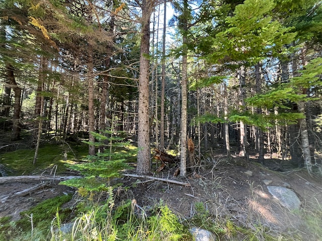 LOT47 Old Wagon Rd, Roque Bluffs ME, 04654 land for sale