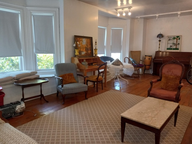 sitting room featuring hardwood / wood-style floors and track lighting