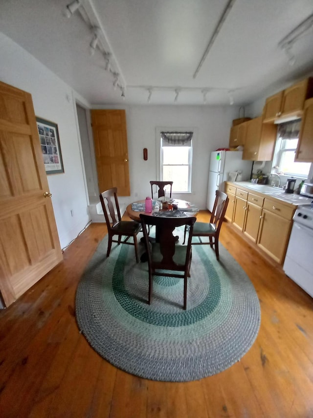 dining space with plenty of natural light, rail lighting, and light wood-style floors