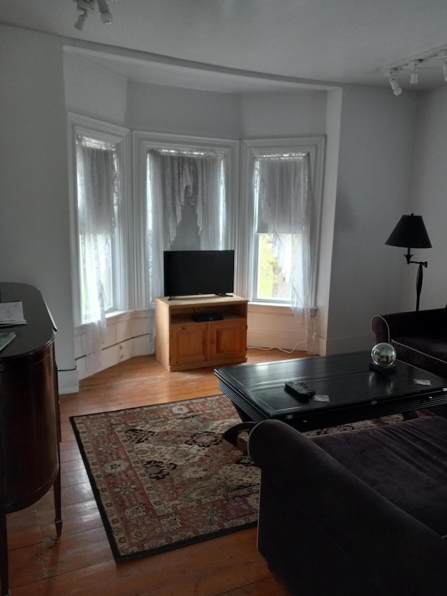 living room featuring a wealth of natural light, rail lighting, and wood finished floors