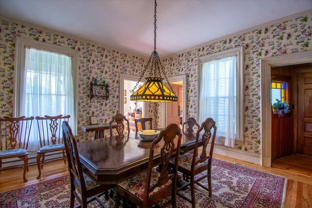 dining area with hardwood / wood-style floors