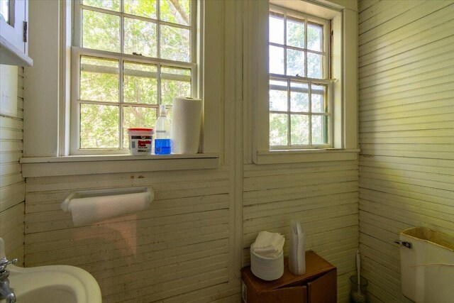 bathroom featuring a healthy amount of sunlight and wooden walls