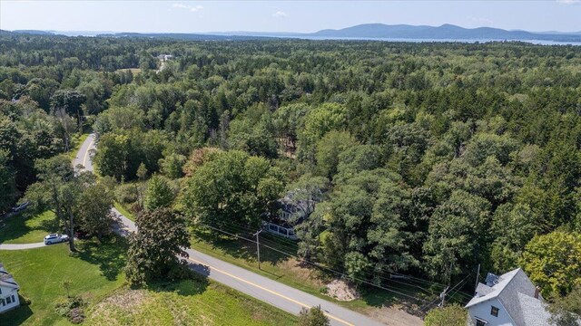 birds eye view of property featuring a mountain view