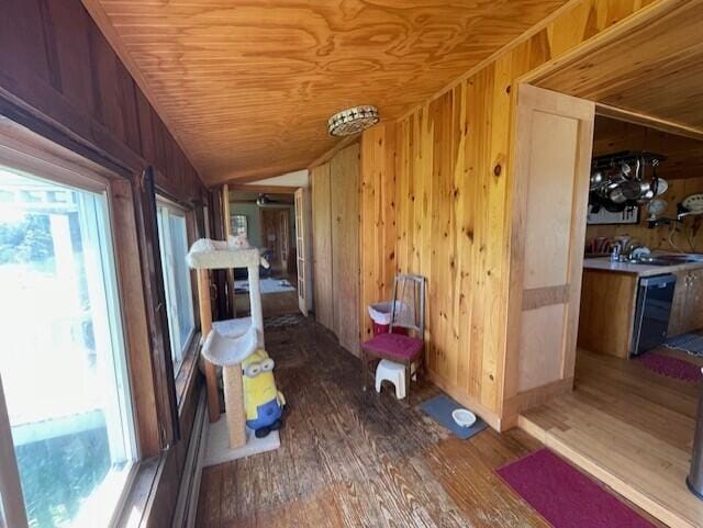 hall featuring dark wood-type flooring, lofted ceiling, plenty of natural light, and wooden walls