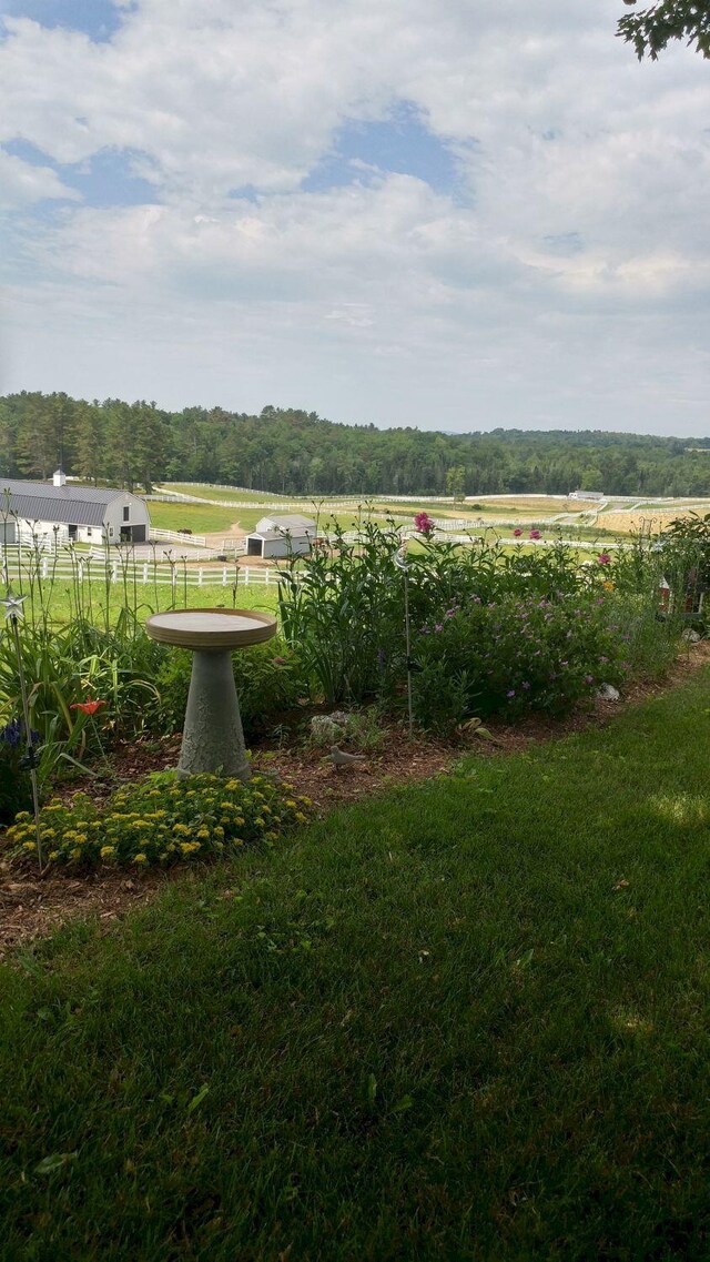 view of yard featuring a rural view