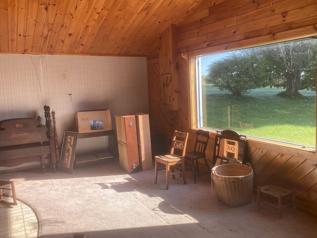 interior space with lofted ceiling, wood walls, wood ceiling, and carpet flooring