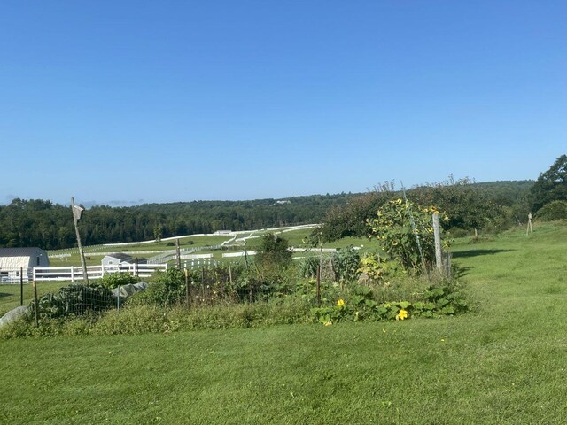 view of yard featuring a rural view