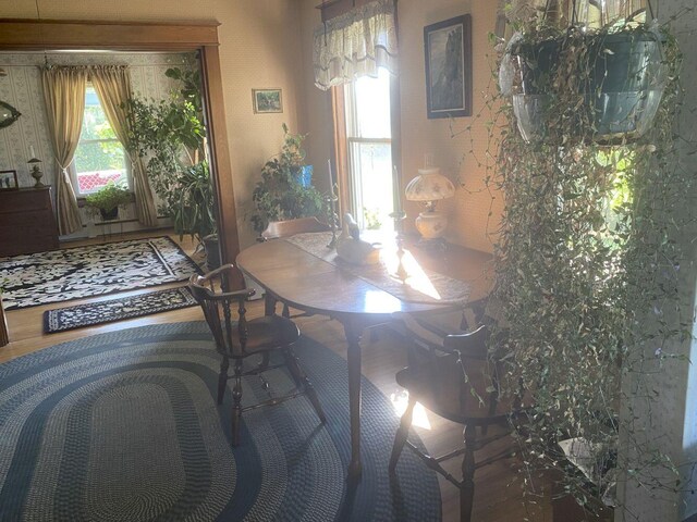 dining area featuring wood-type flooring