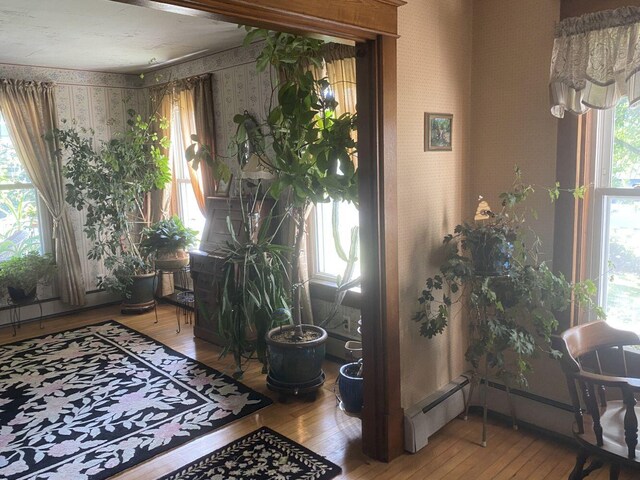 entryway featuring wood-type flooring, baseboard heating, and a healthy amount of sunlight