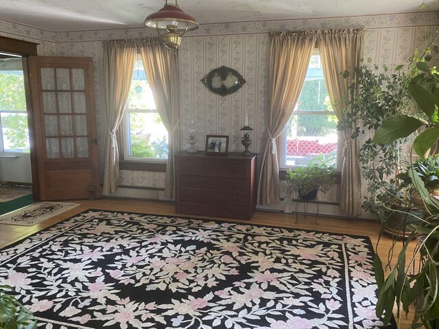 foyer with hardwood / wood-style flooring