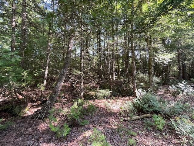 Listing photo 3 for 69K Christmas Cove Rd, Crawford ME 04694