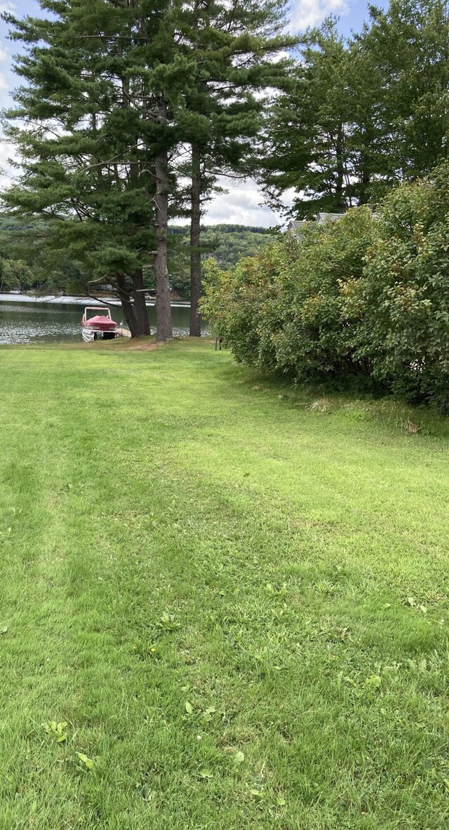 view of yard with a water view