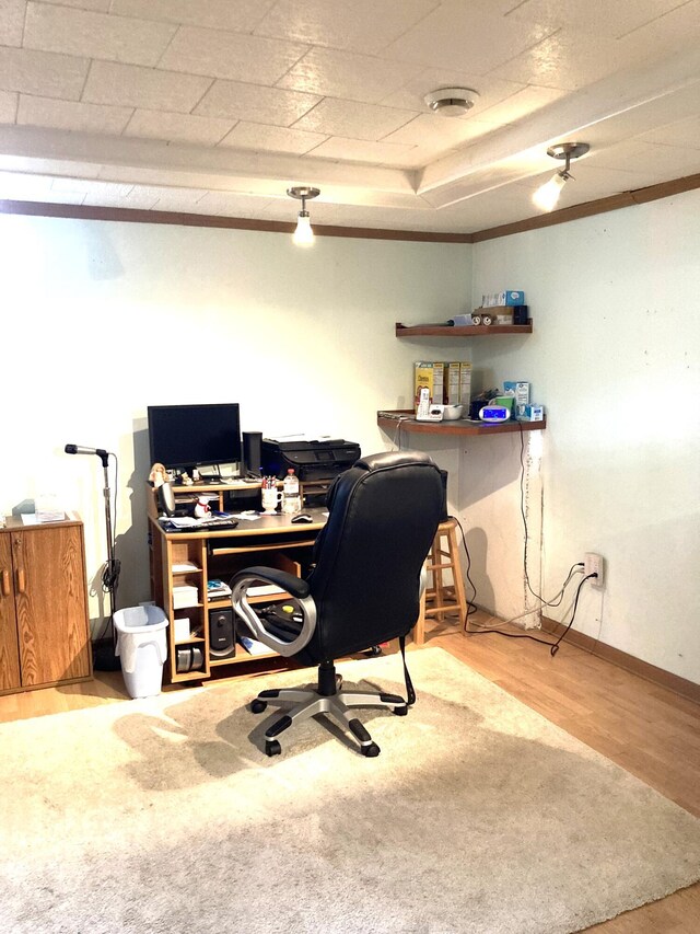 office with a raised ceiling and light hardwood / wood-style floors