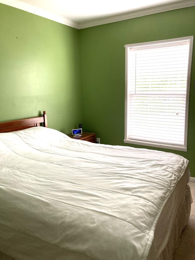 bedroom featuring crown molding and carpet flooring