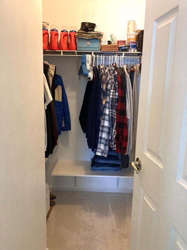 walk in closet with carpet flooring