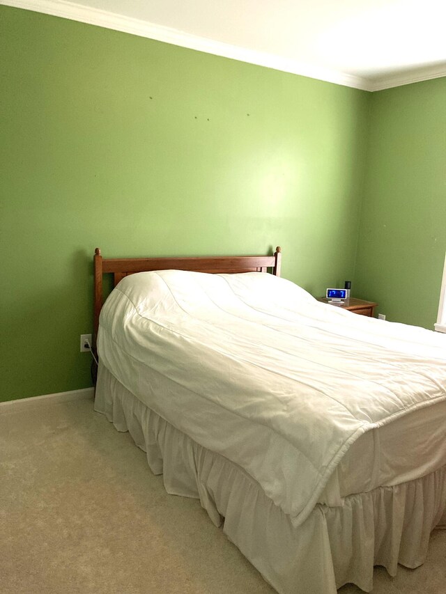 bedroom featuring crown molding and carpet