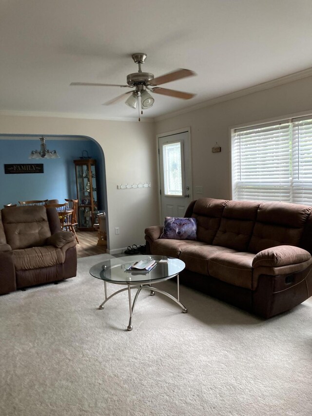 living room with crown molding, carpet floors, and a wealth of natural light