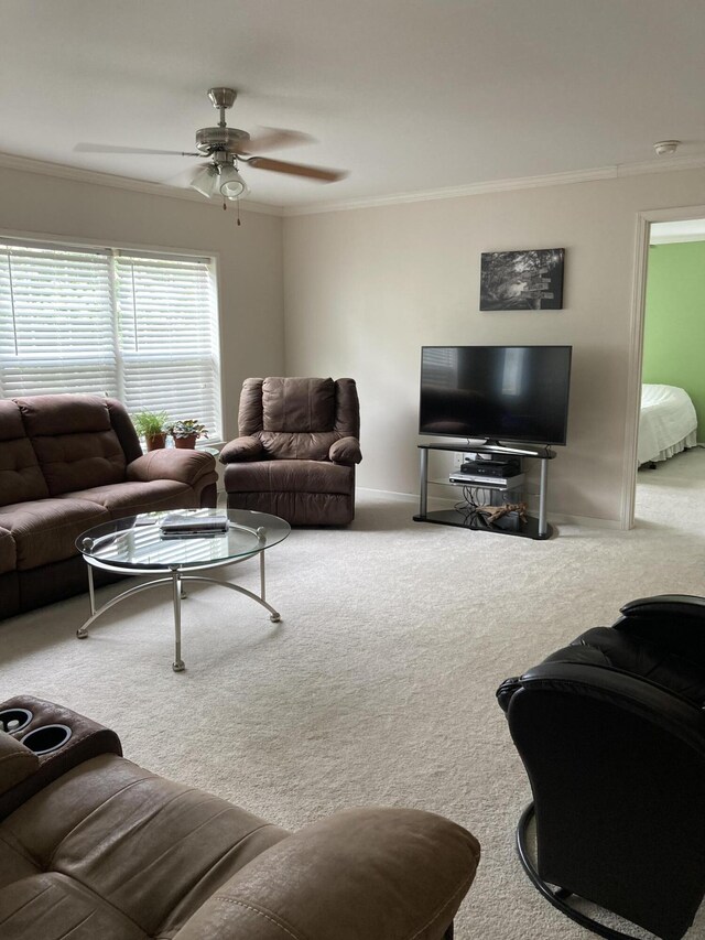 carpeted living room with crown molding and ceiling fan