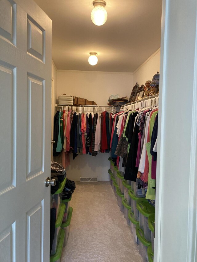 spacious closet with carpet floors