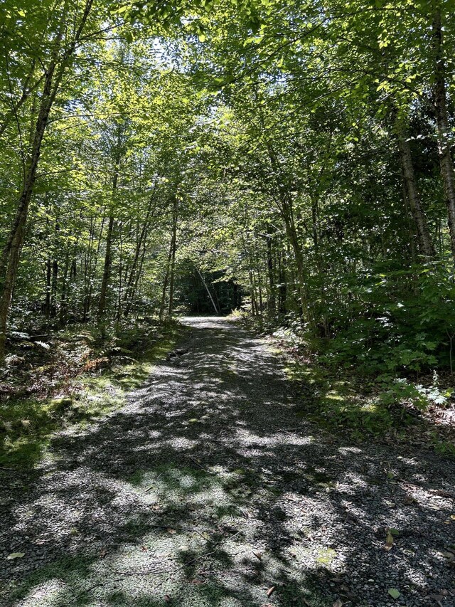 276 S Cove Rd, Willimantic, ME 04443 - photo 58