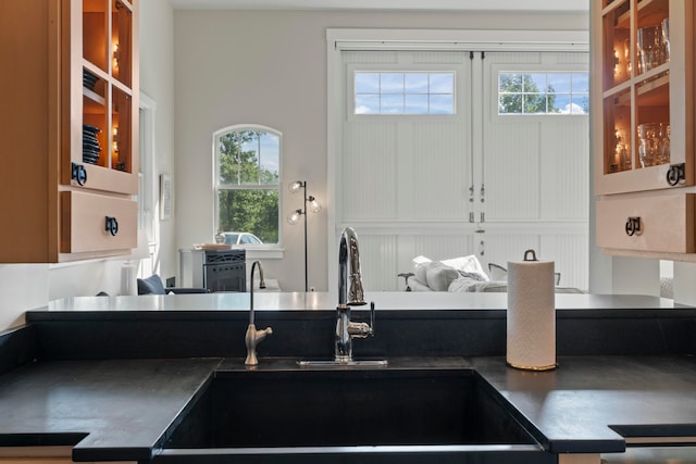 kitchen featuring a wealth of natural light and sink