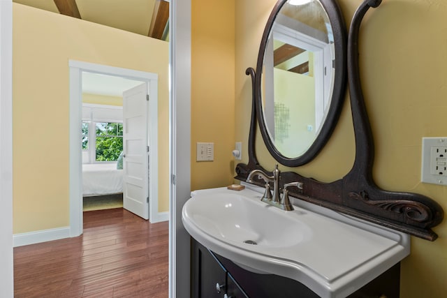 bathroom with vanity and wood-type flooring