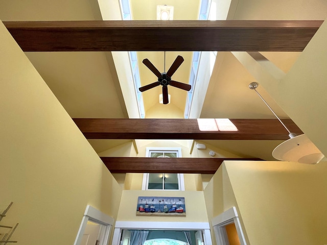 room details with ceiling fan