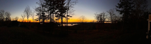 nature at dusk featuring a water view