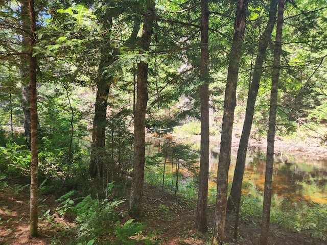 view of nature featuring a water view