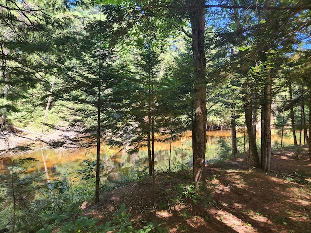 view of landscape featuring a water view